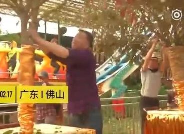 Khách Trung Quốc thi nhau rung cây để lấy tiền mừng tuổi