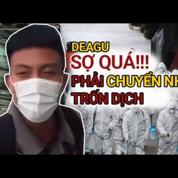 Du học sinh Việt ở Hàn Quốc sợ dịch bay về nước gấp